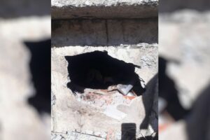 Um túmulo foi revirado e um crânio foi furtado no cemitério municipal de Santo Antônio do Descoberto, na última quarta-feira (21).