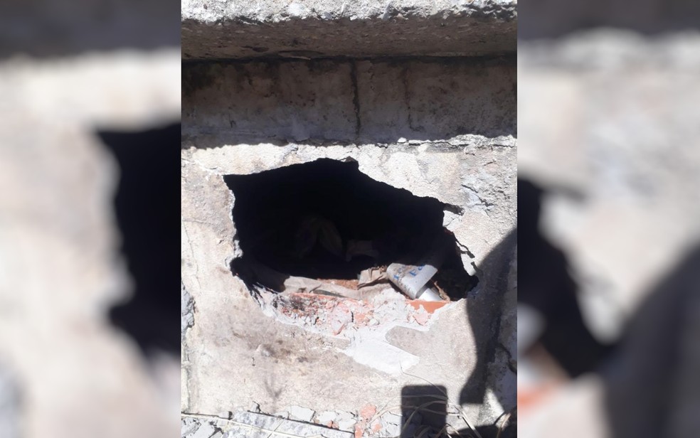 Um túmulo foi revirado e um crânio foi furtado no cemitério municipal de Santo Antônio do Descoberto, na última quarta-feira (21).