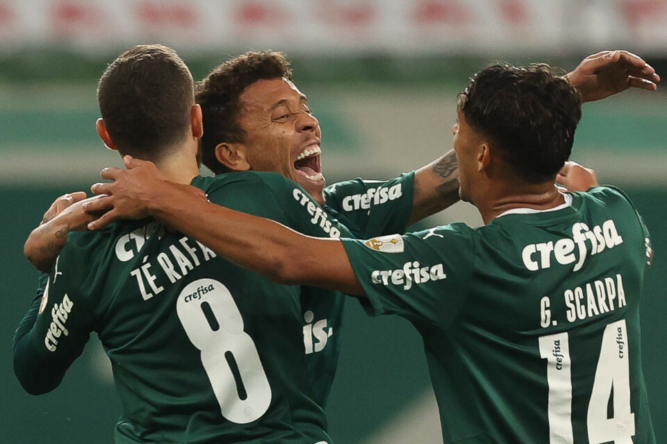 palmeiras