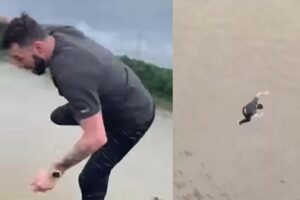 Homem se irrita com trânsito e pula em rio com crocodilos; vídeo