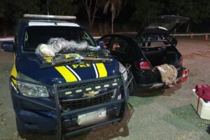 Grupo estava com um vasto material de caça que seria utilizado para abate de jacarés