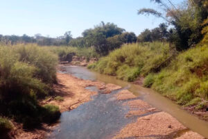 Leito do Córrego Santo Antônio comprometido, em Aparecida (Foto: Arquivo pessoal)