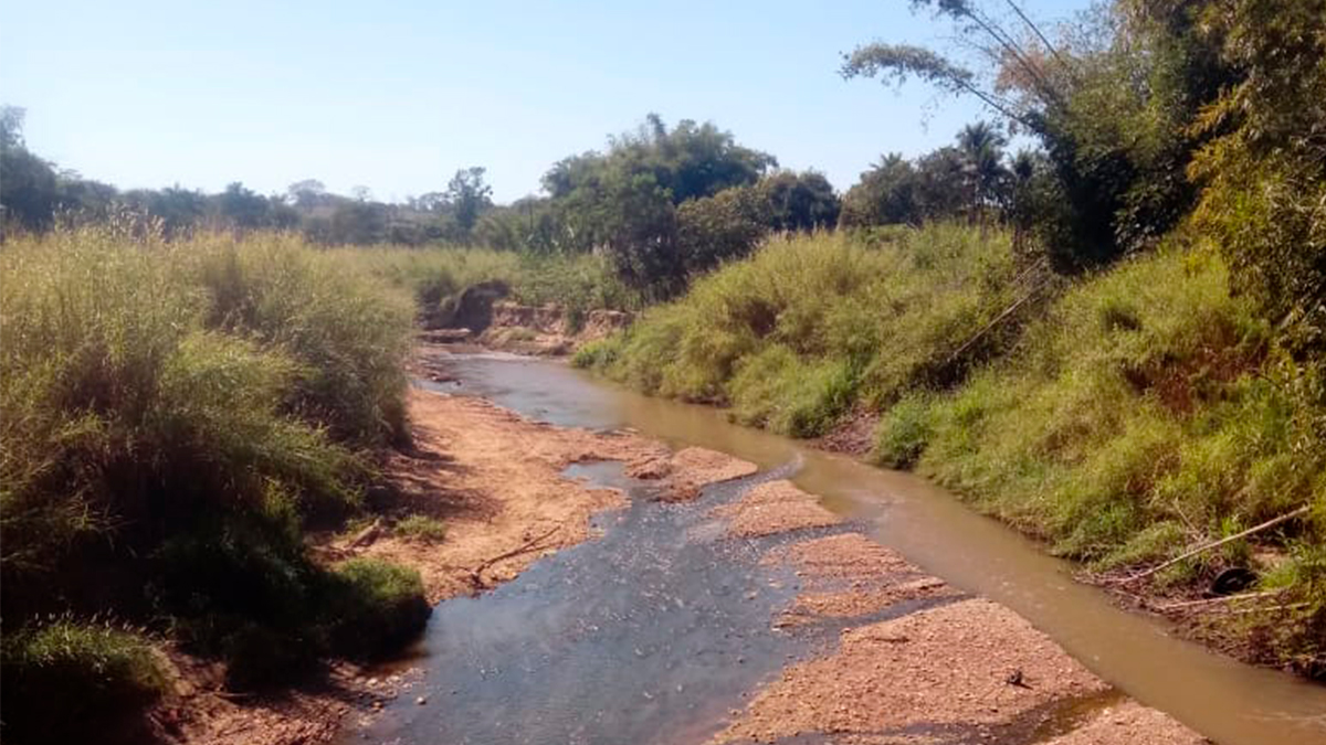 Leito do Córrego Santo Antônio comprometido, em Aparecida (Foto: Arquivo pessoal)