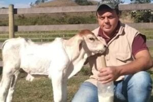Bezerra nasce com seis patas e dois quadris no RJ