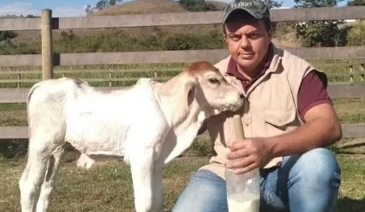 Bezerra nasce com seis patas e dois quadris no RJ