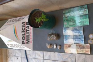 Nota falsa tinha desenhos do lobo-guará e folhas de maconha