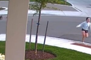 Yorkshire enfrenta coiote para salvar dona no Canadá; assista