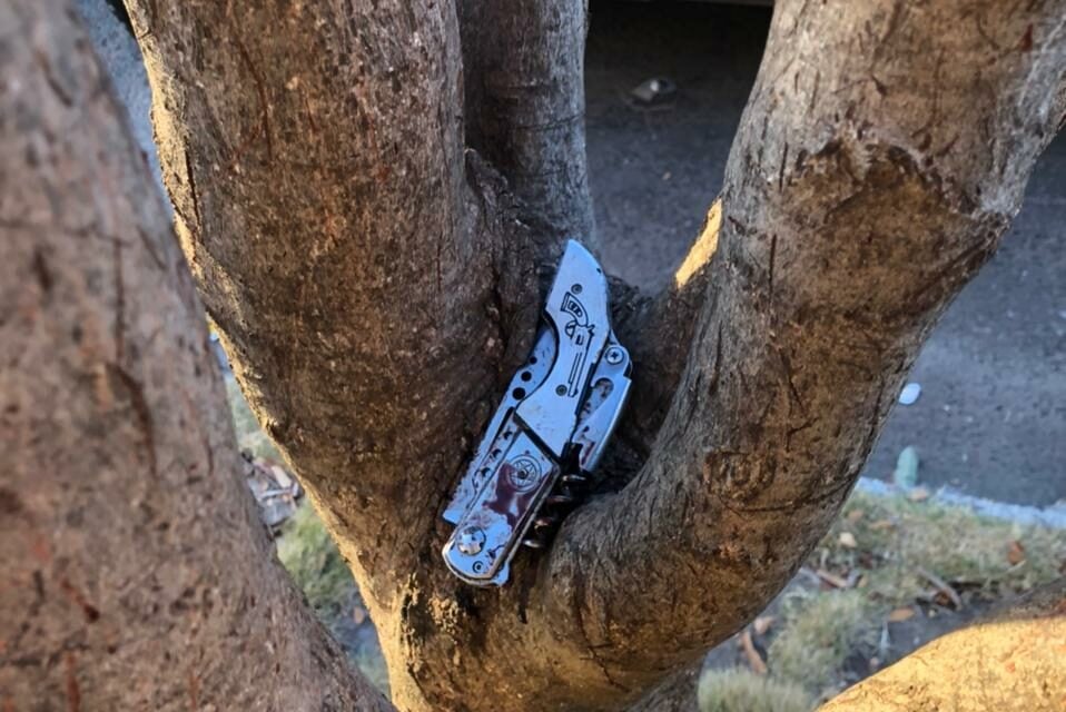 Mulher foi morta com facada no pescoço no último domingo após discutir com pessoas que teriam furtado o celular dela