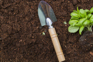 Adubo é utilizada para ajudar na fortalecimento das plantas