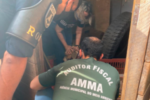 Homem é preso suspeito de esfaquear cadela por ela ter comido dois ovos, em Goiânia1