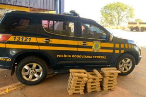 Suspeito afirmou que maconha foi retirada de carro em chamas na BR-060, em Guapó (Foto: PRF)