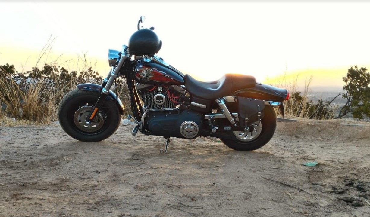 Exposição de motos Harley-Davidson acontece gratuitamente em Goiânia