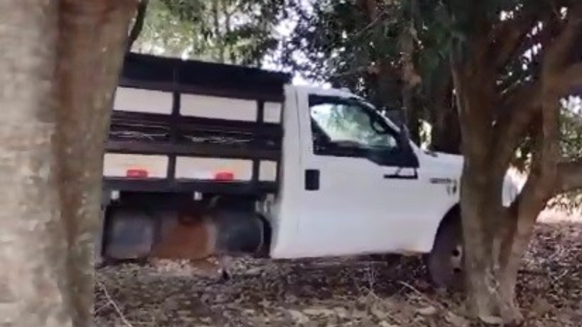 Veículo é localizado em área rural de Luziânia após homem 'sequestrar caminhão'