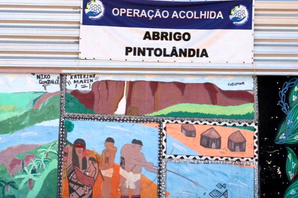 Abrigo Pintolândia