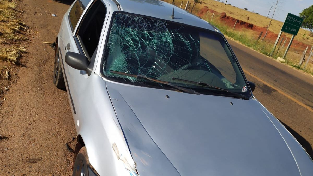 Preso suspeito de atropelar e matar mulher no dia do aniversário dela, em Itaberaí