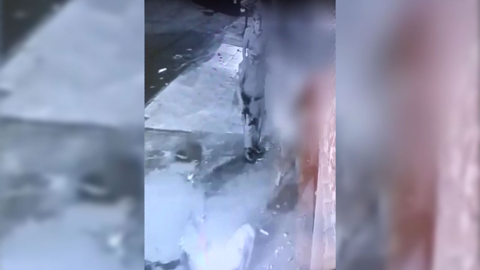 PM atira e mata cadela durante abordagem em casa de Aparecida de Goiânia