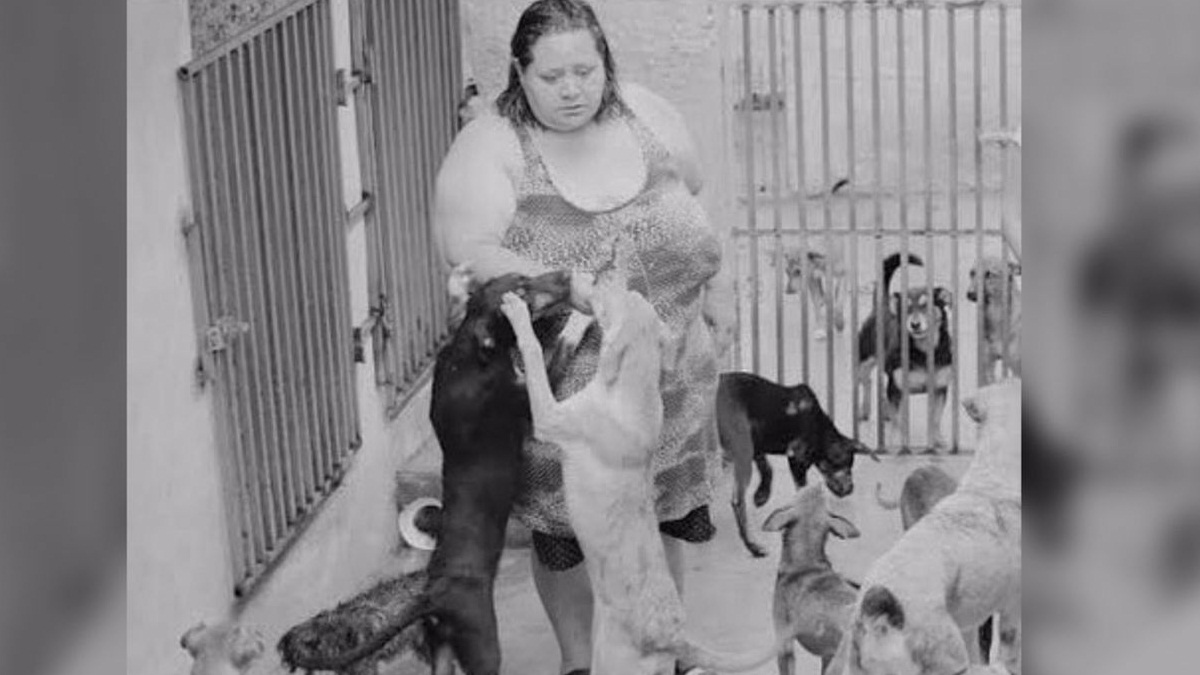 Voluntários pedem doações para manter abrigo de animais em Goiânia após morte de cuidadora