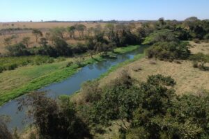 TCE-GO vai fiscalizar ações do governo contra crise hídrica