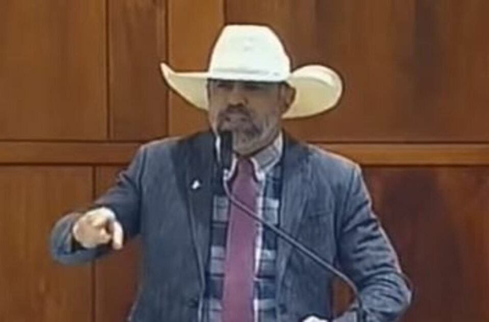 Vereadora Luciula do Recanto registra ocorrência contra deputado Amauri Ribeiro