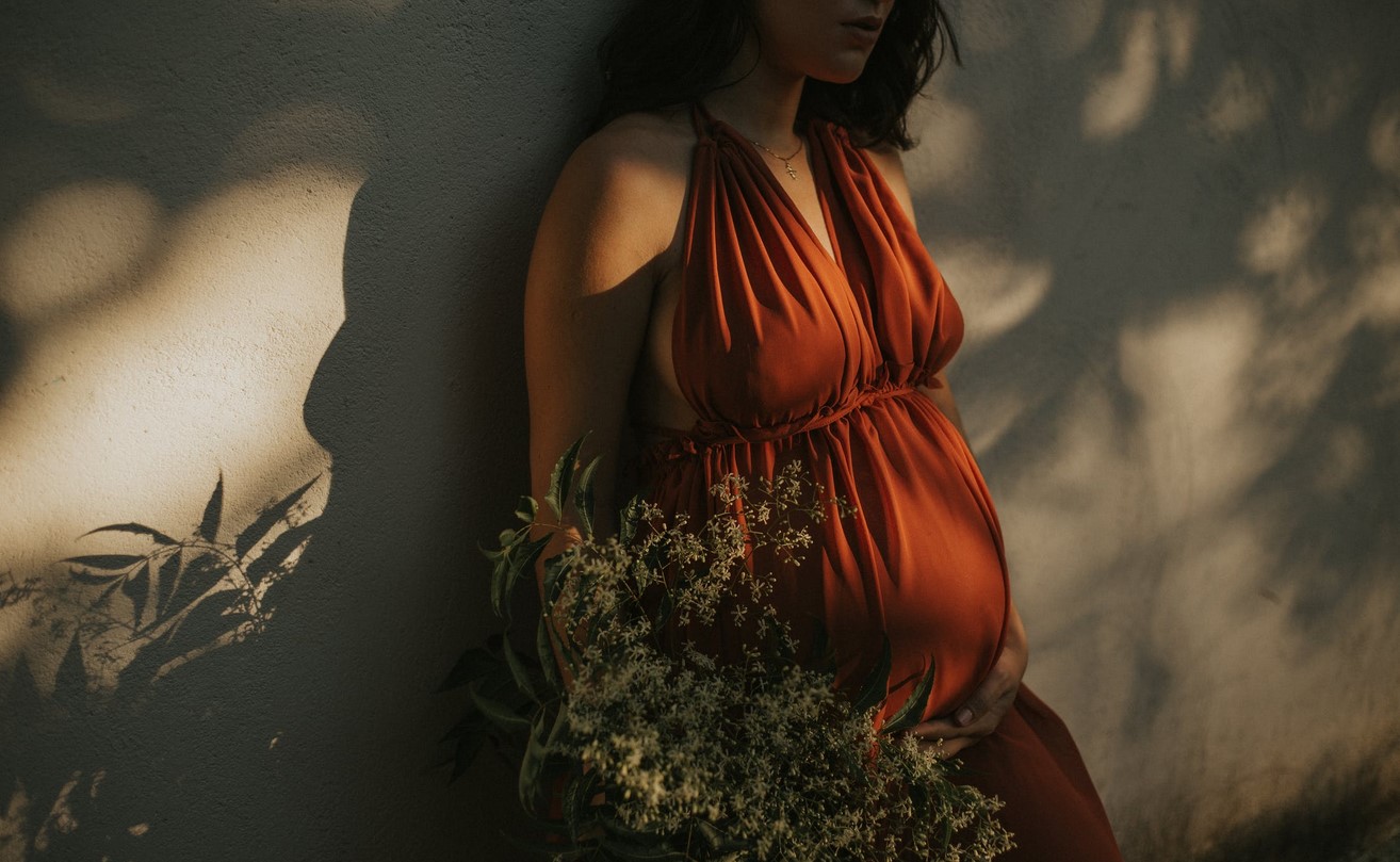 Sesc Cegonha do Sesc Goiás