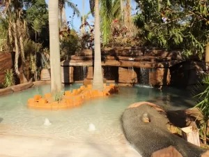 Mulher cria praia artificial por ficar sem viajar na pandemia: 'Me salvou'