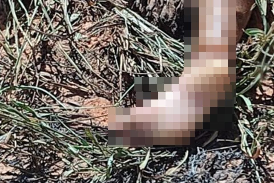 Preso terceiro suspeito de estuprar, matar e atear fogo na genitália de adolescente, em Aparecida