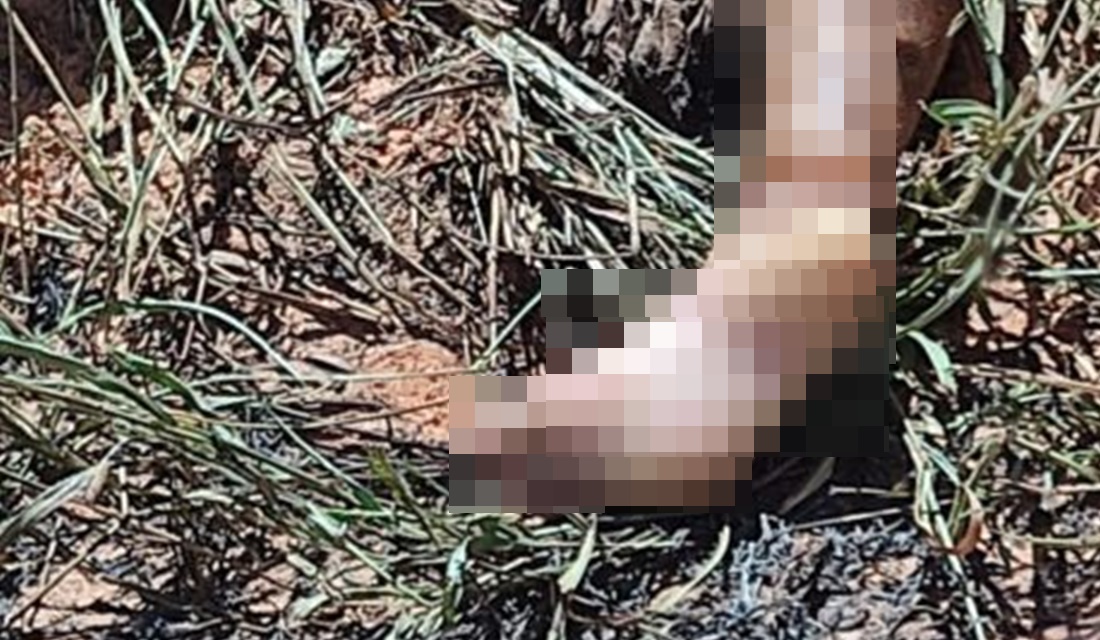 Preso terceiro suspeito de estuprar, matar e atear fogo na genitália de adolescente, em Aparecida