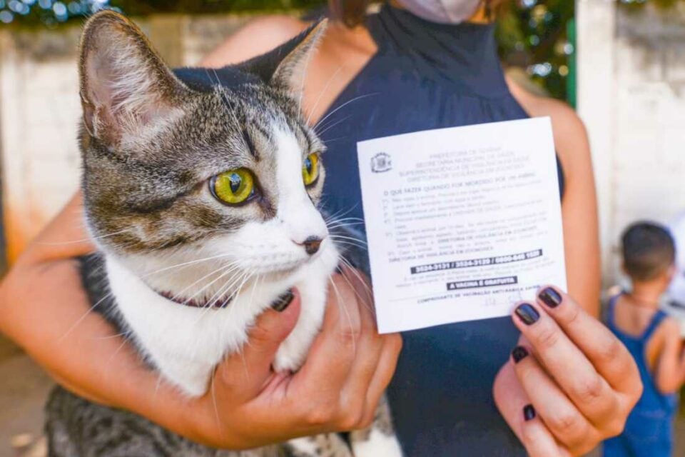 Vacinação contra raiva animal em Anápolis é prorrogada até 17 de dezmbro (Foto: Jucimar de Sousa - Mais Goiás)