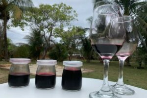 Vinho de açaí criado pelo servidor público