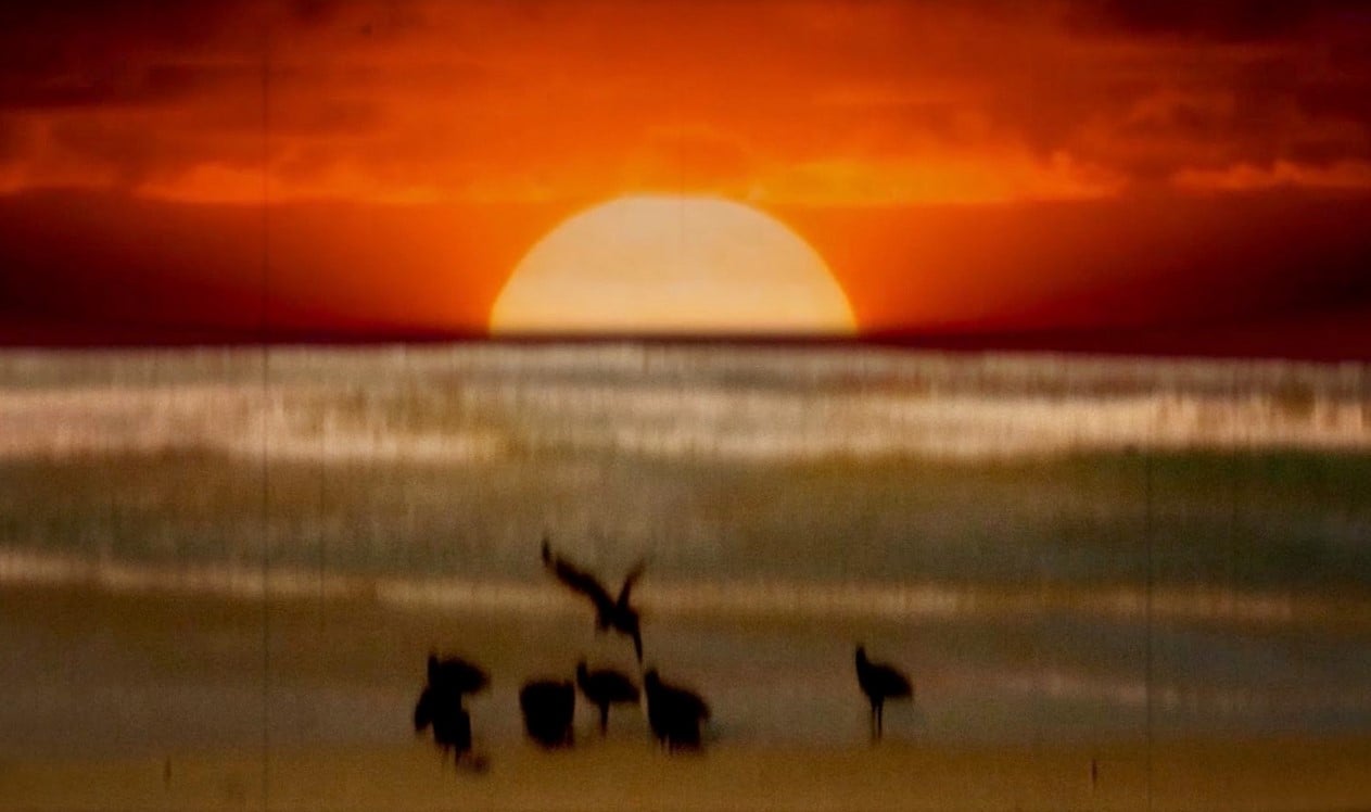 Festival Curta Kinoforum