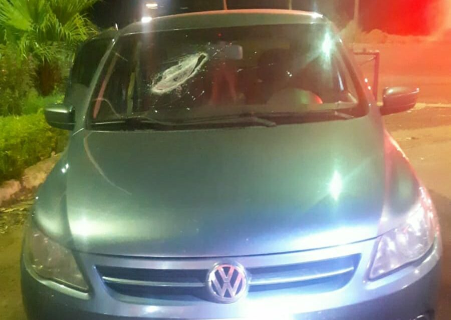 Uma criança de seis anos morreu depois de ser atingida por uma peça de caminhão que se soltou na BR-153, em Jaraguá. (Foto: divulgação/PRF)