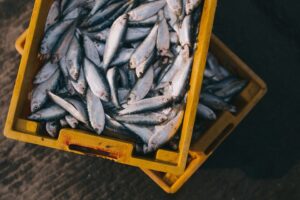 Casos de 'doença da urina preta' avançam e cinco estados investigam suspeitas (Foto: Reprodução - Pixabay)