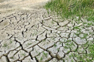 Unicef: efeitos de mudanças no clima podem afetar 1 bilhão de crianças