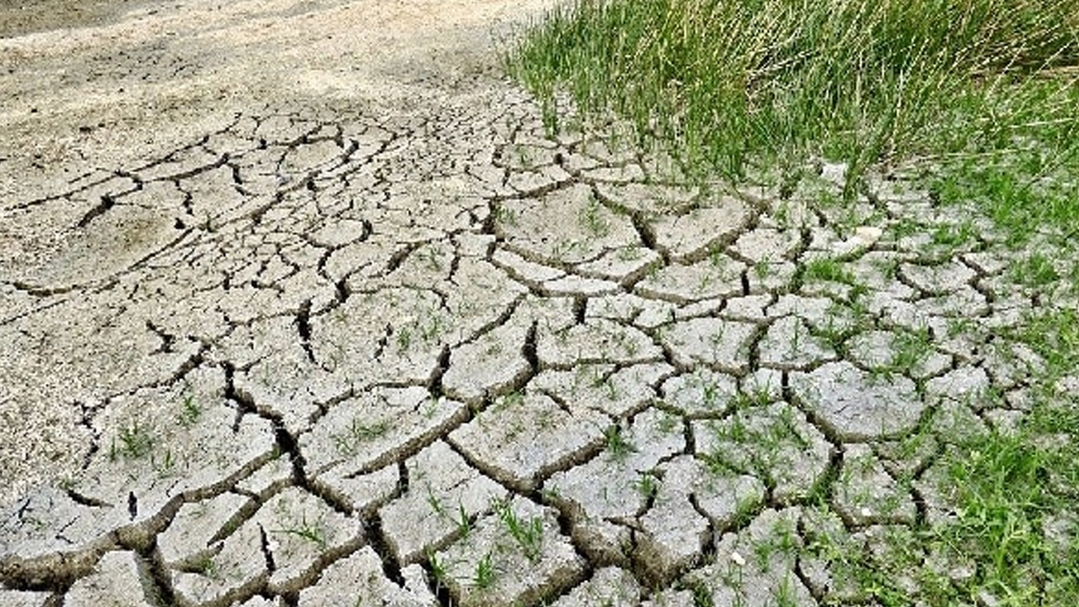Unicef: efeitos de mudanças no clima podem afetar 1 bilhão de crianças