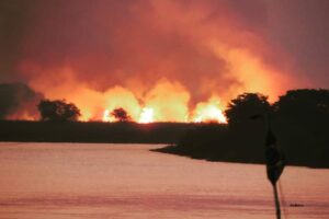 Pantanal em Chamas