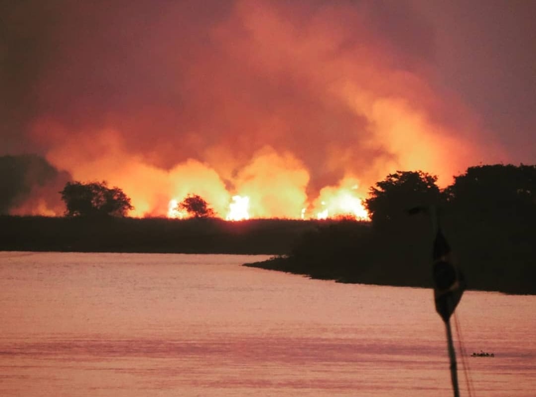 Pantanal em Chamas