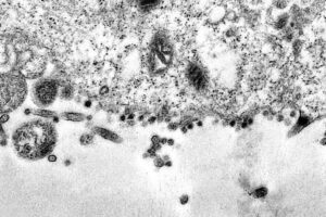 Europa volta a registrar protestos