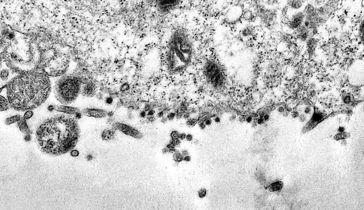 Europa volta a registrar protestos