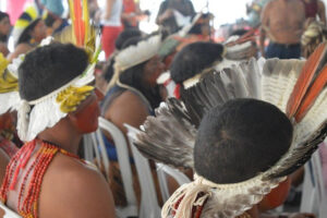 Goiás é um dos cinco Estados sem registro de assassinato de indígenas em 2019