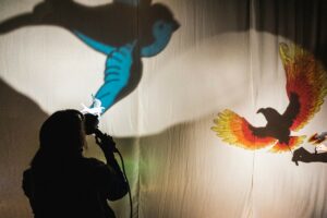 espetáculo infantil Passarinhos