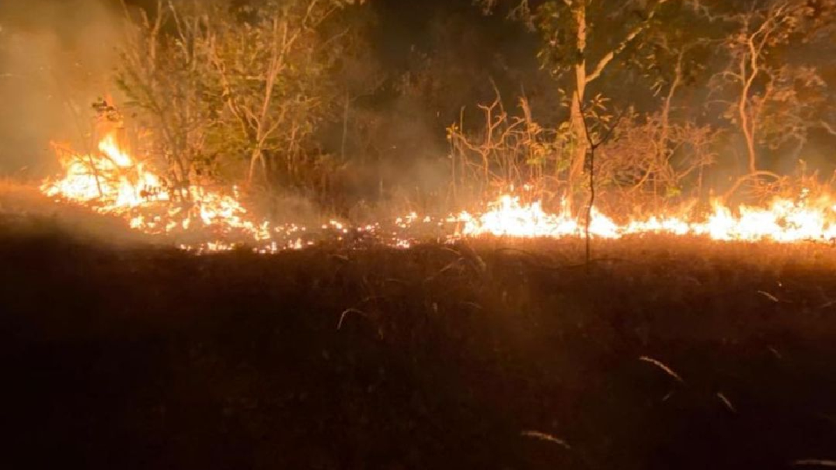 (Bombeiros combatem incêndio de 6 km de extensão na zona rural de Pirenópolis)