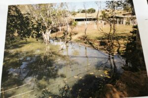 Área ocupada irregularmente - Rio Meia Ponte corre risco de danos ambientais irreversíveis. Mais de mil construções em 14 loteamentos podem ser demolidas.