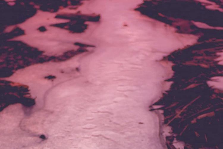 Entenda por que neve dos Alpes está ficando vermelha (Foto: Instagram)