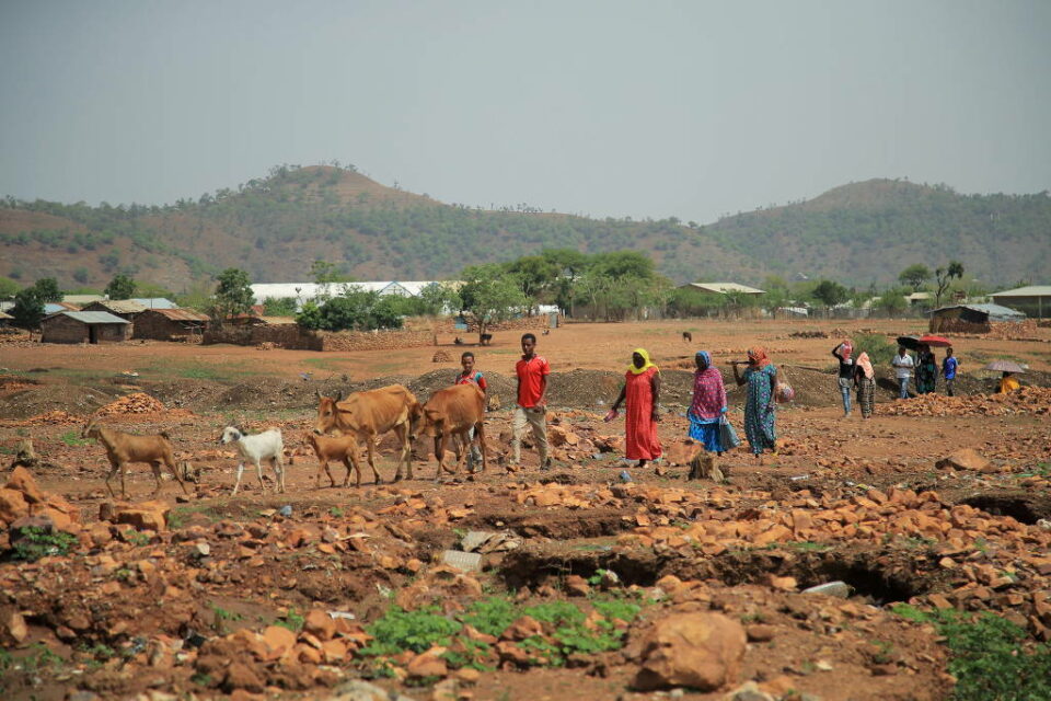 Anistia Internacional denuncia abusos cometidos por tropas da Etiópia e da Eritreia