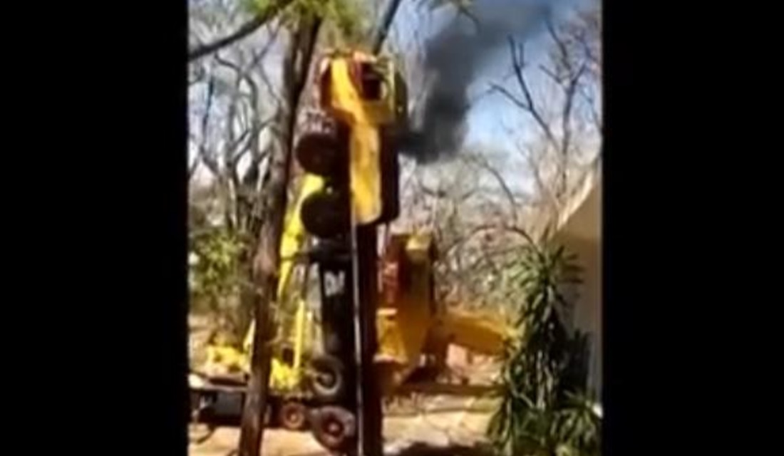 Guincho tomba ao retirar árvore de praça, em Itumbiara; vídeo