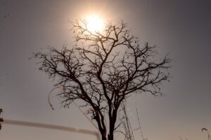 ALERTA: Veja 6 dicas de como amenizar os efeitos do tempo seco em Goiás. Território goiano está em estado de alerta por baixa umidade do ar.