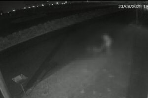Câmeras de segurança flagra quando homem seminu é morto com mais de 20 facadas em Aparecida de Goiânia
