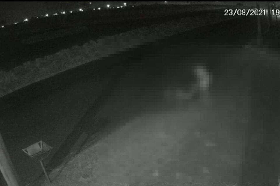 Câmeras de segurança flagra quando homem seminu é morto com mais de 20 facadas em Aparecida de Goiânia