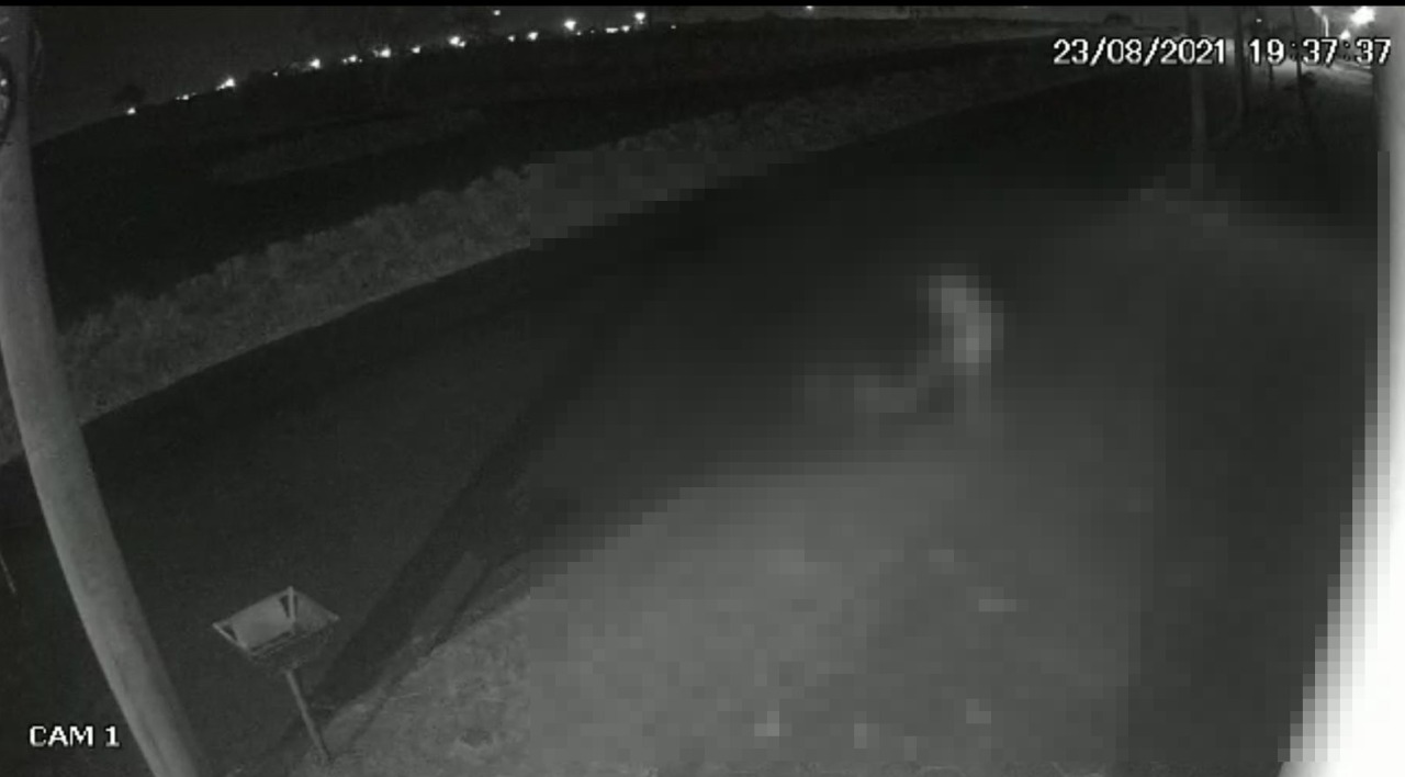 Câmeras de segurança flagra quando homem seminu é morto com mais de 20 facadas em Aparecida de Goiânia