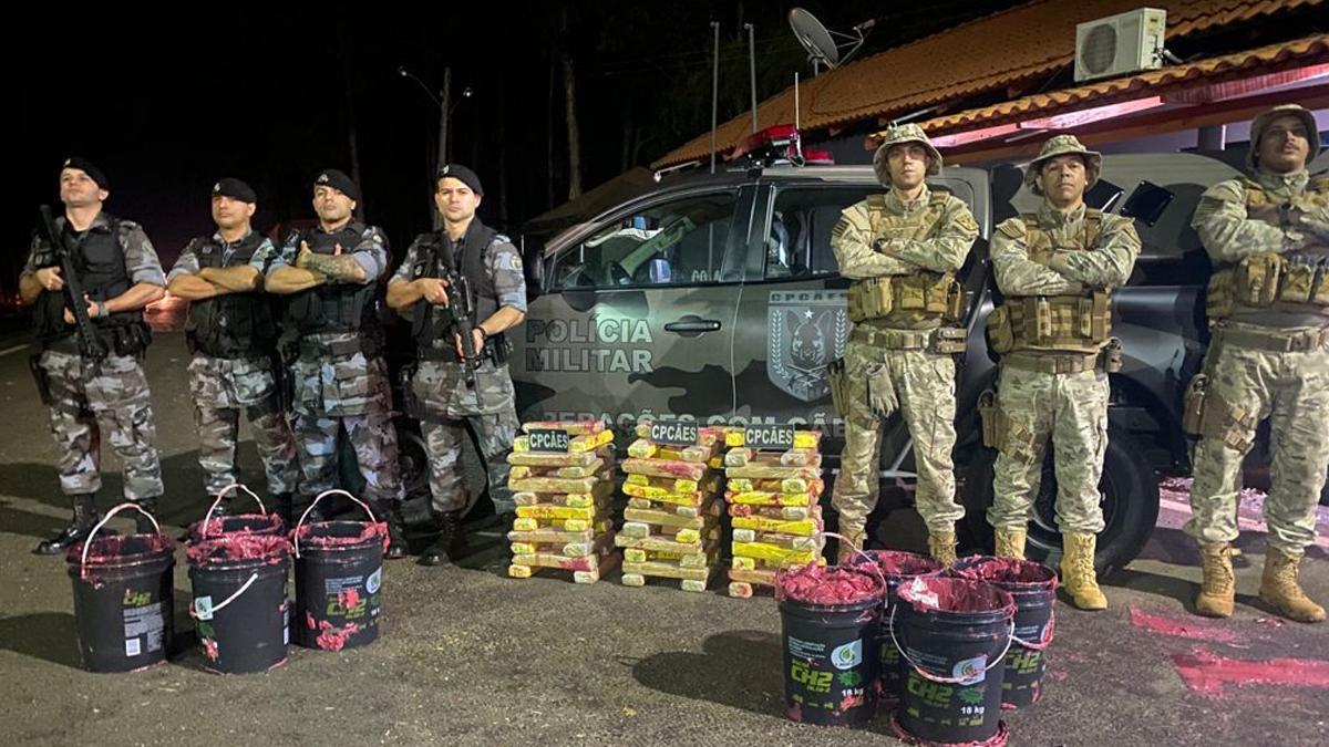 Cães farejadores ajudam PM a encontrar 100 kg de maconha em Cachoeira Alta